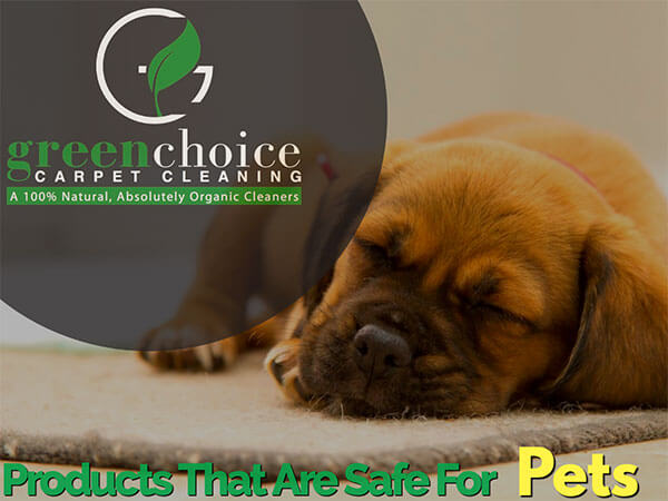 our-product-is-100-organic-dog-safe-pet-safe-in-NYC